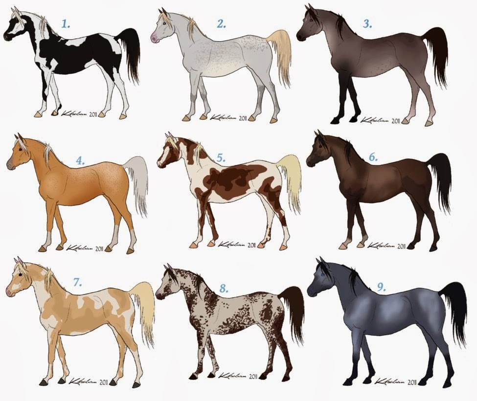 arabian_horse_adoptables__by_howlingspirit34-d52r88t.png (975??820)