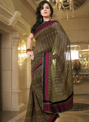 zarine-khan-glorious-saree-collection-11.jpg