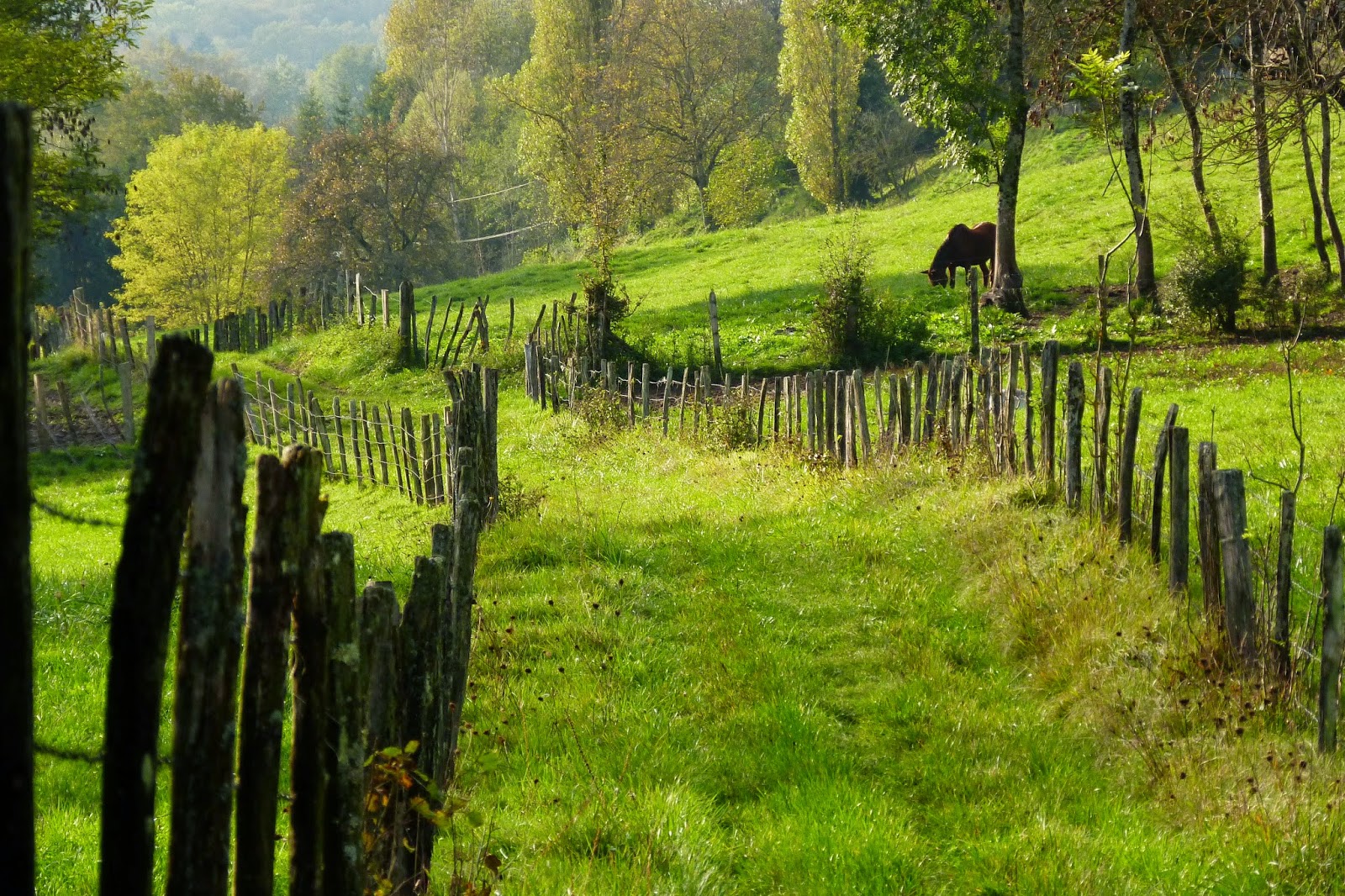 Vietnam Belle Dans La Saison De Recolte