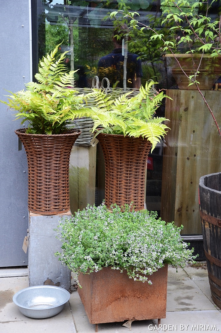 Garden by miriam: september 2013