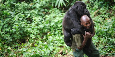 Oil companies want to have their cake and eat it in Virunga 