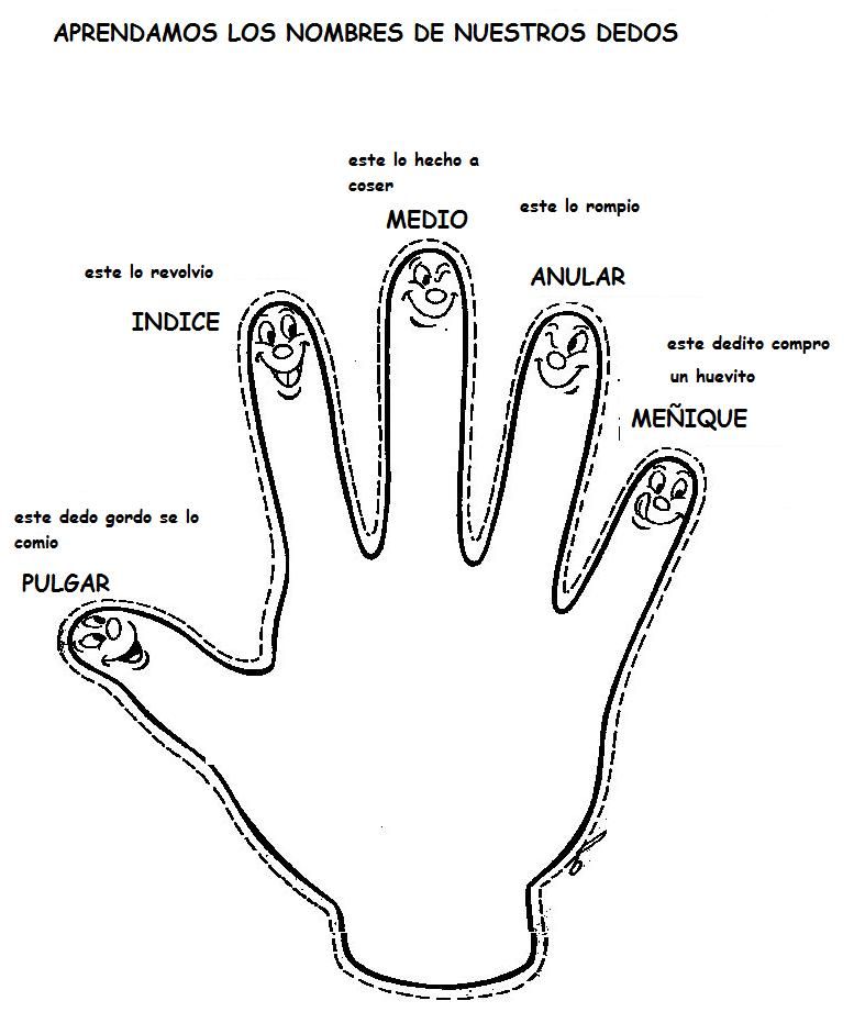 EJERCICIOS DE LAS MANOS ejercicios de las manos: