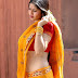 Hot South Indian Actress in Saree