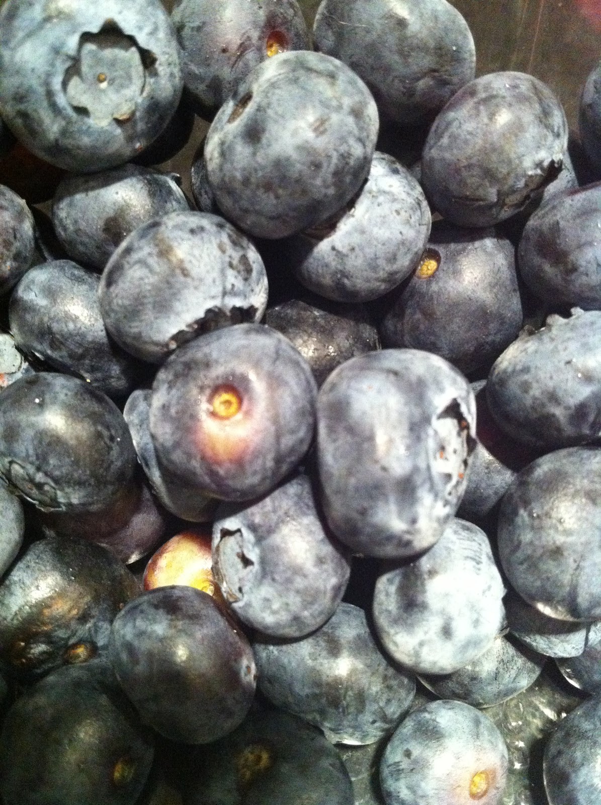 That's What She Fed Blueberry Pale Ale