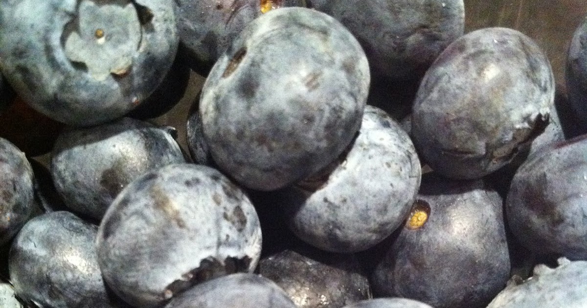 That's What She Fed Blueberry Pale Ale