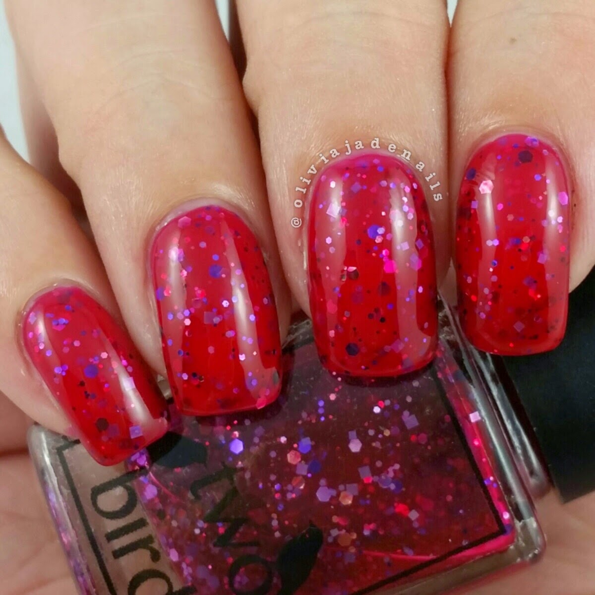Two Birds surprise gift swatched by Olivia Jade Nails