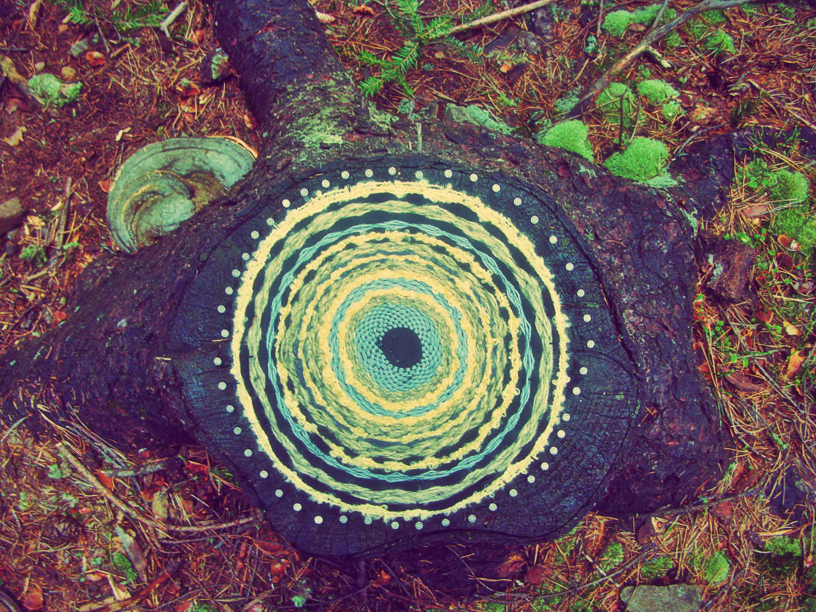 Alnilam55555 Sic itur ad astra. Ad Infinitum...