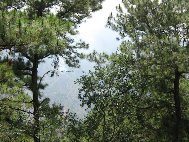 All About Baguio