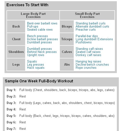 Total Body Workouts Every Other Day