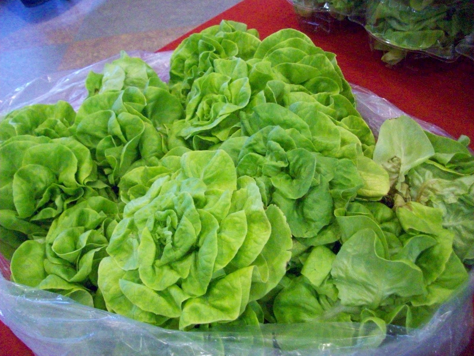 may , ridgeway, people with friends Apr , lettuce from van scoy farms both