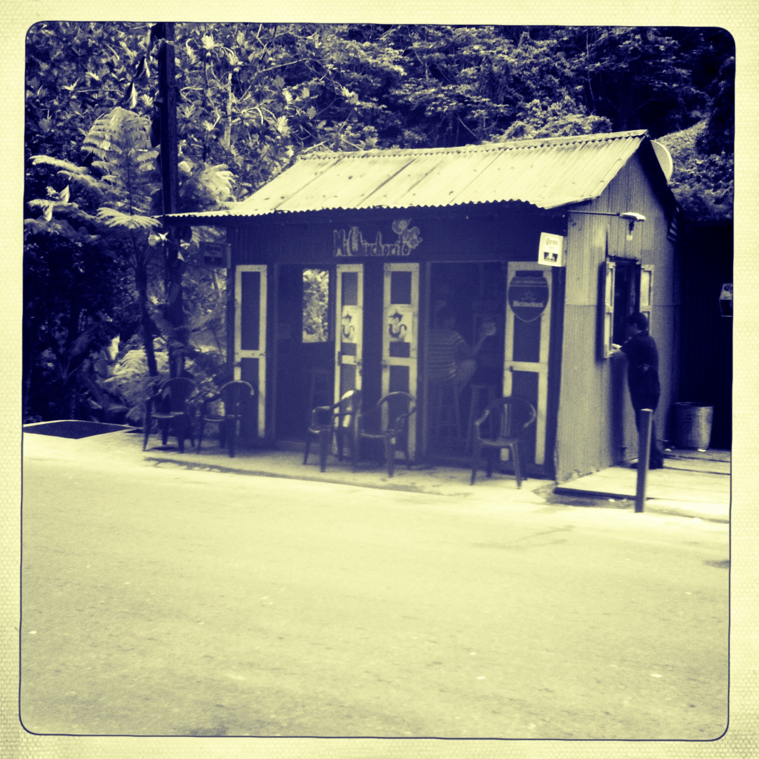 Ftd Flowers Utuado Pr Ftd Flowers Utuado Pr