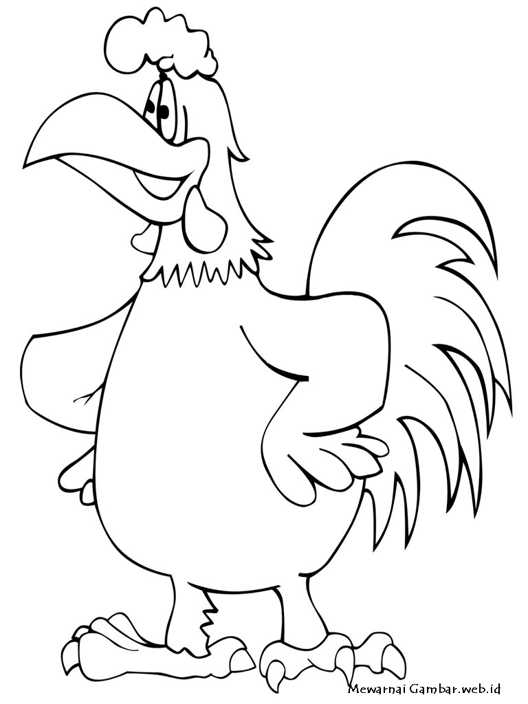 gambar ayam - gambar ayam kartun