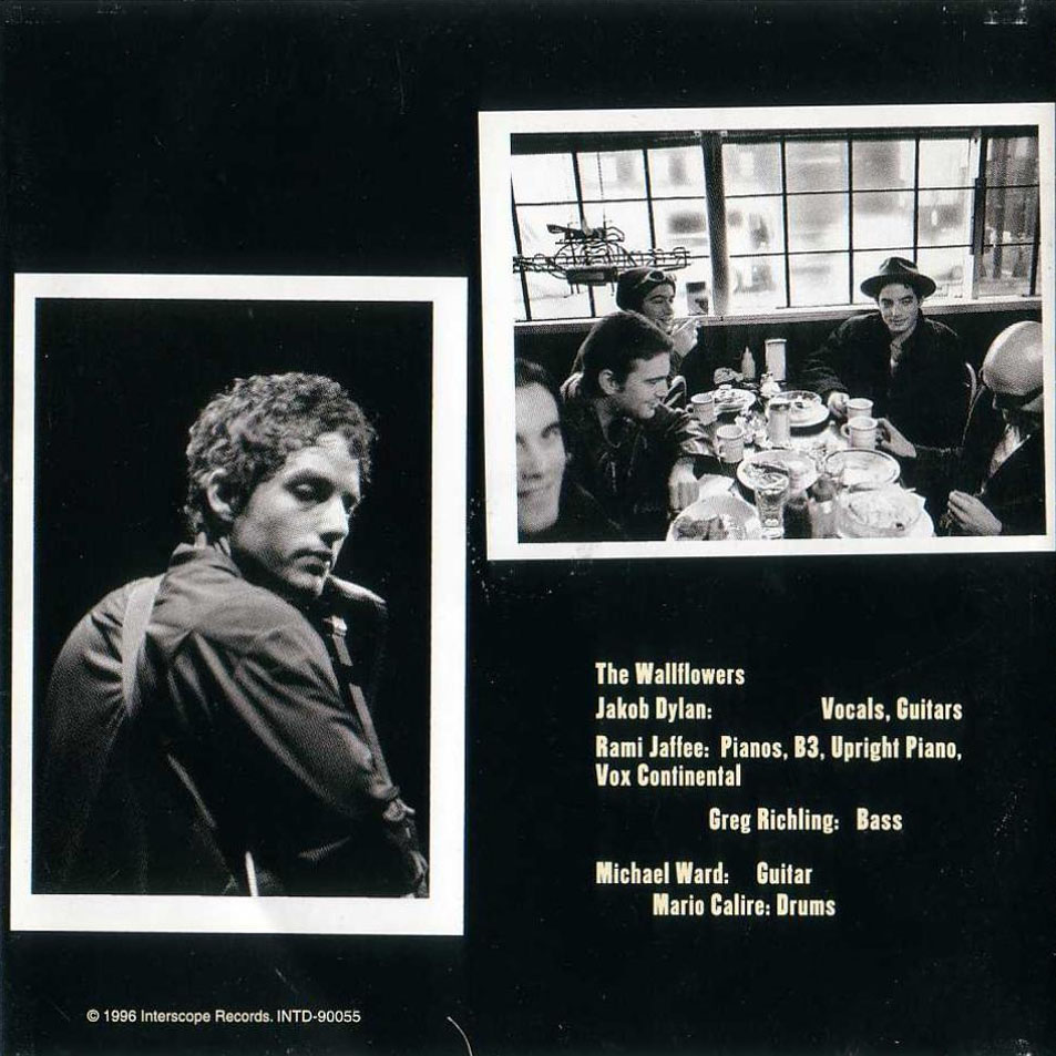 The Wallflowers Bringing Down The Horse 1996 FLAC Taringa!