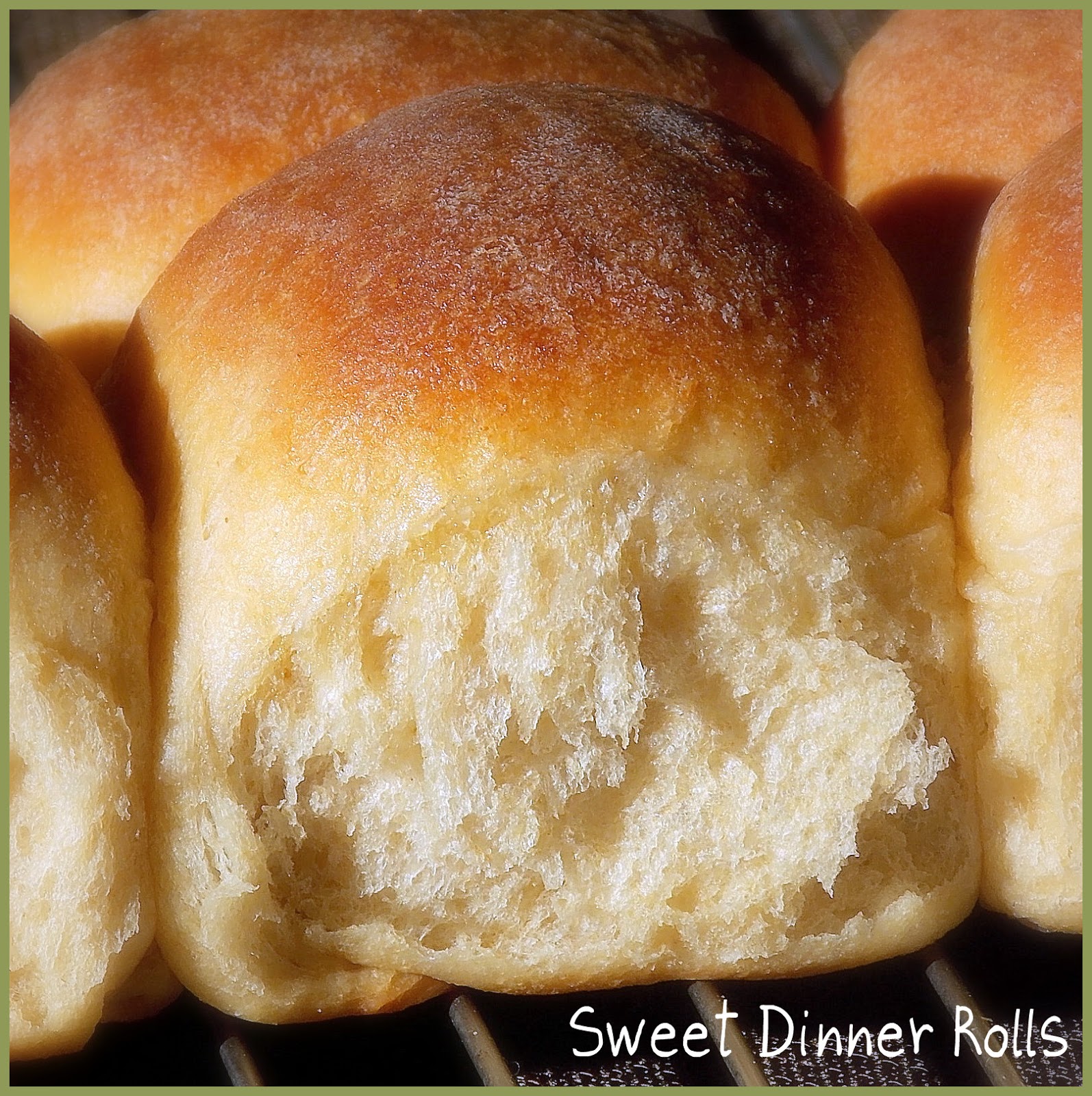 Sweet Dinner Rolls Grumpy's Honey Bunch