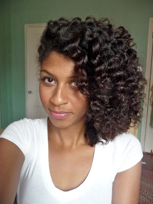 Shanti's Twist-Out Tec...