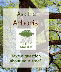 Ask an Arborist FaceBook Group