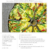 Yum! Crustless Mini Quiche Recipe from Anthropologie