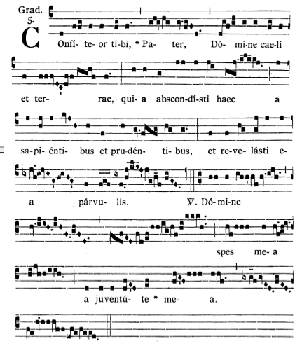 American Dream Quotes In The Tortilla Curtain Pdf