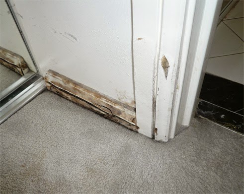 Bathroom Tiles Leaking cleaning & restoration for tiles & grout: leaking shower repairs Bathroom Tiles Leaking cleaning & restoration for tiles & grout: leaking shower repairs