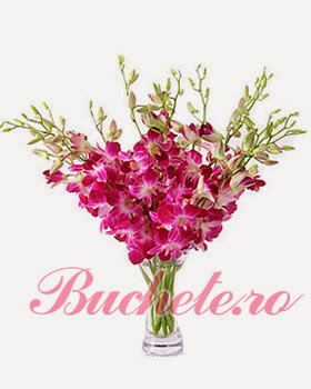 Selected Orchids flowers delivery in Romania Selected Orchids flowers delivery in Romania