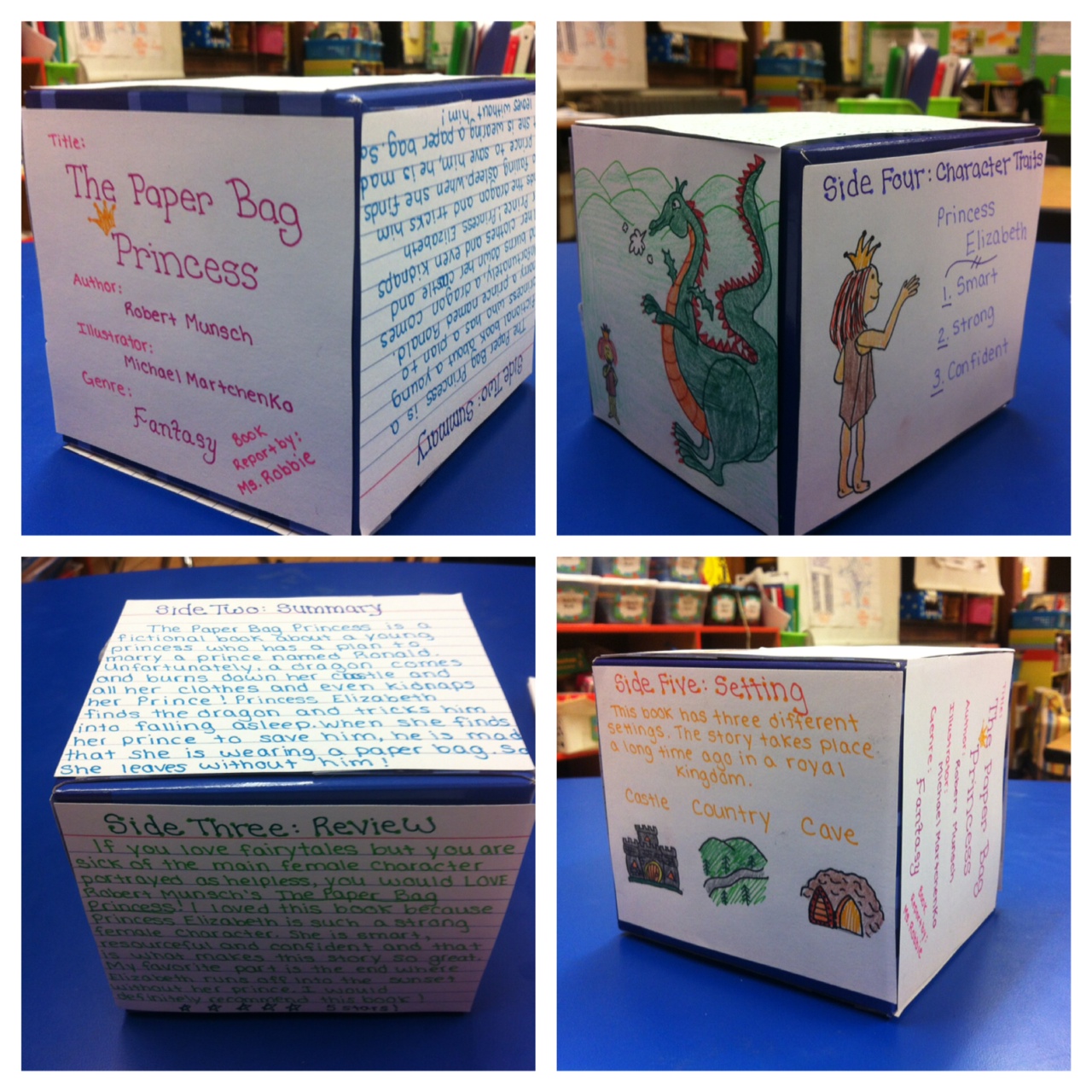 Book report cube project picture