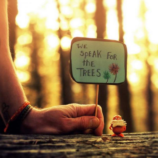 photographs by joel robison 11