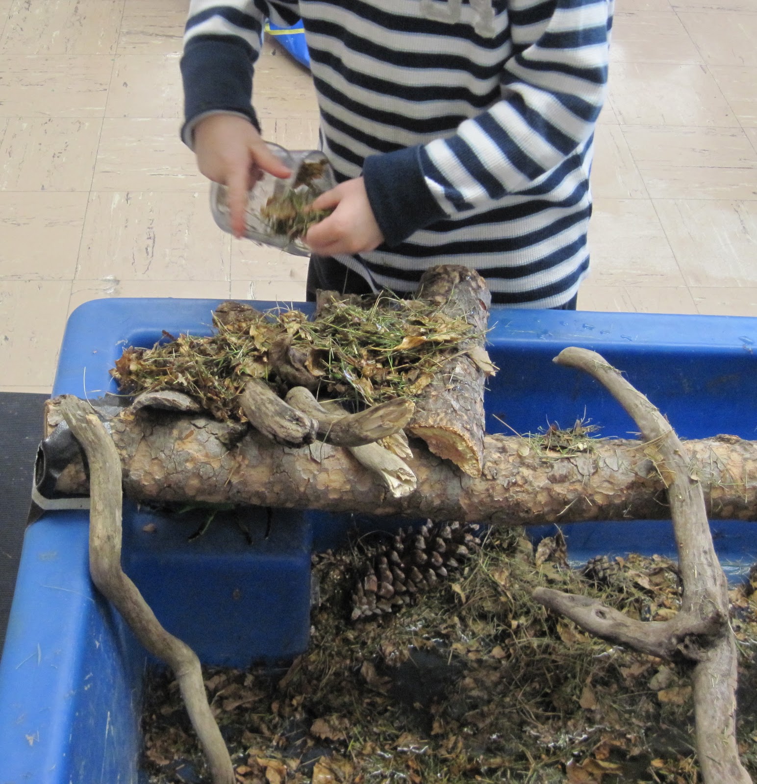 SAND AND WATER TABLES SWAMP II