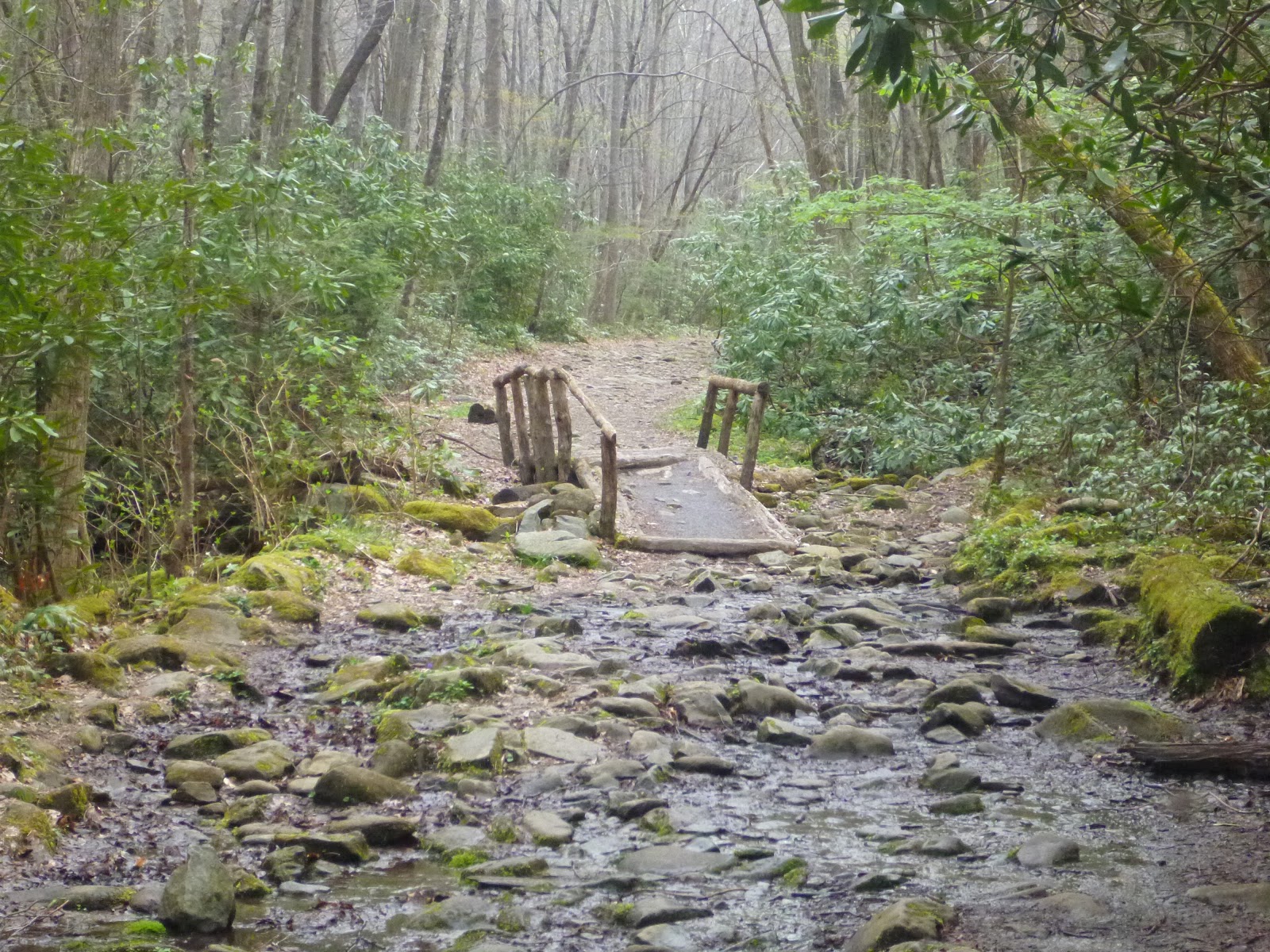 GSMNP HIKER Hike To Indian Flats Falls In GSMNP