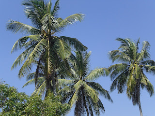 Medaketiya à Tangalle au Sri Lanka