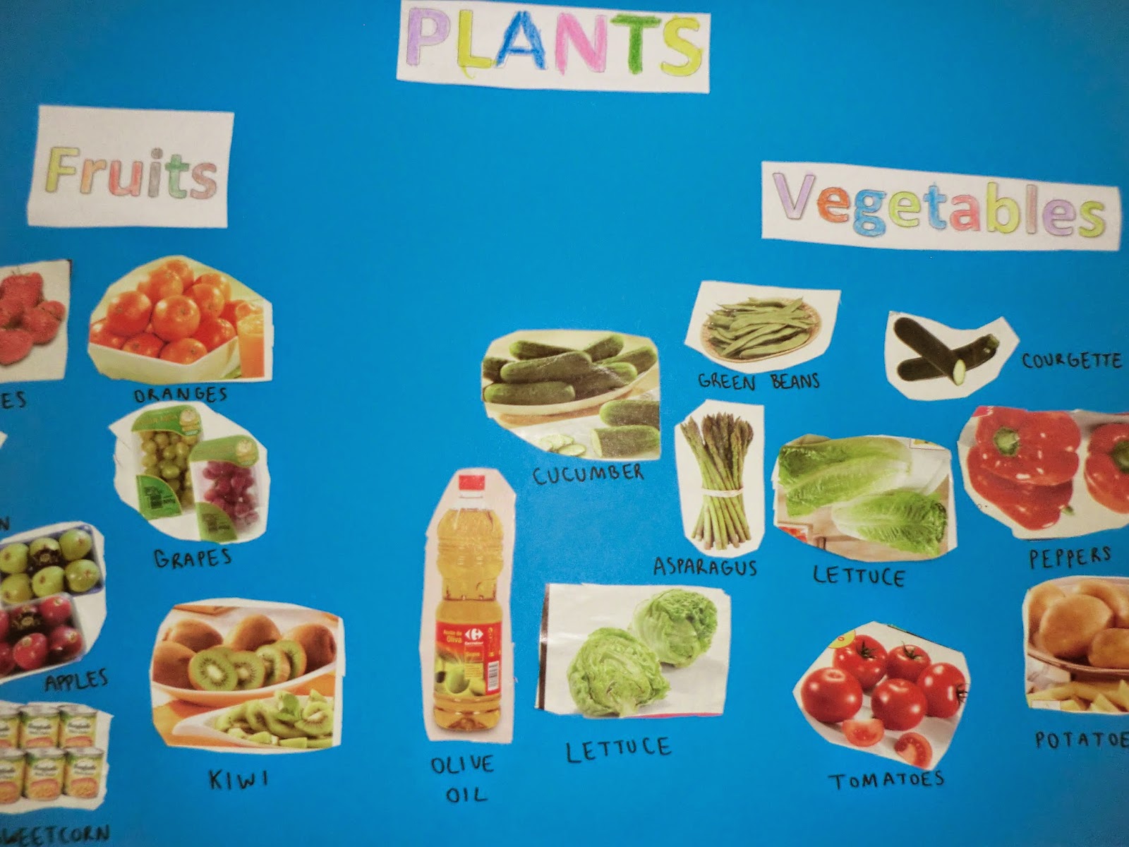 BILINGUAL SCHOOL BLOG WORLD FOOD DAY PROJECT. SCHOOL MENU 1ºB/1ºA
