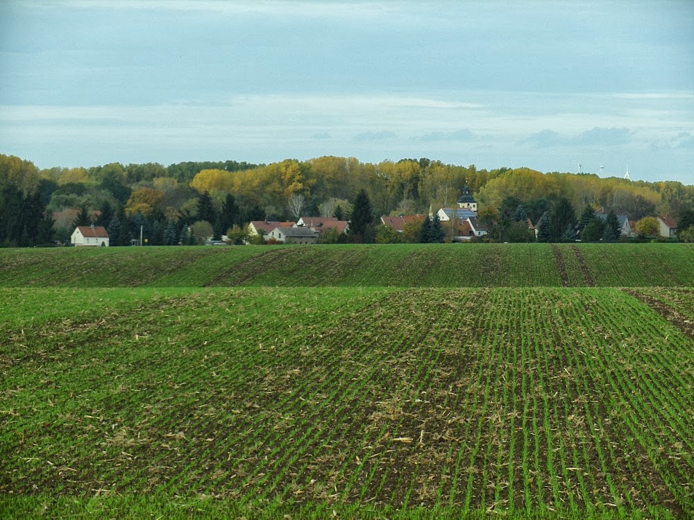 Life History Trait Database Of European Reptile Species