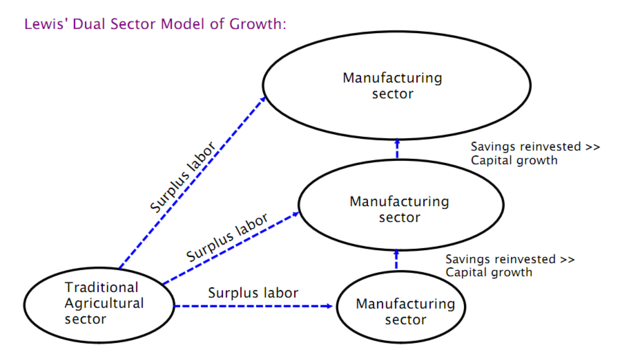 dual sector model
