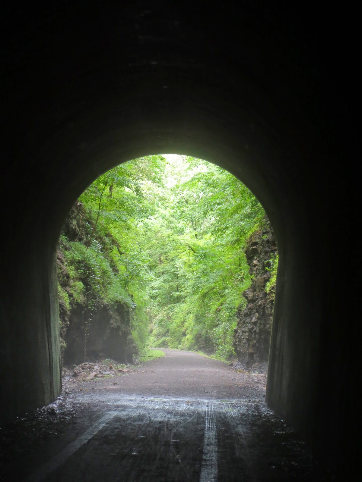 The Travelling Lindfields Cycling the Tunnel Hill State Trail in Illinois