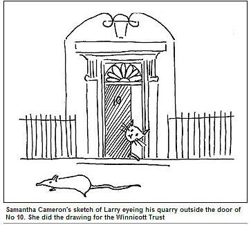 英國第一貓 英國第一貓　終於抓到老鼠