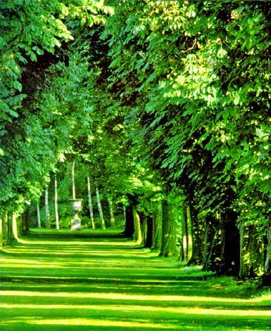 ORMANLAR ile ilgili görsel sonucu