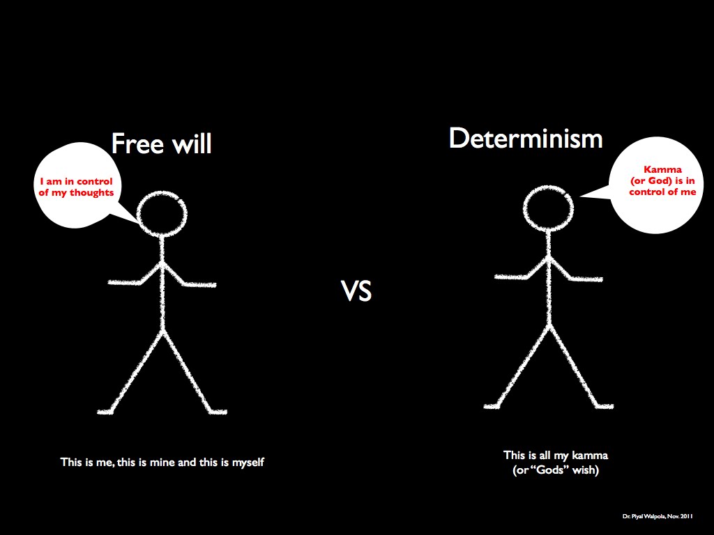 Determinism vs free will