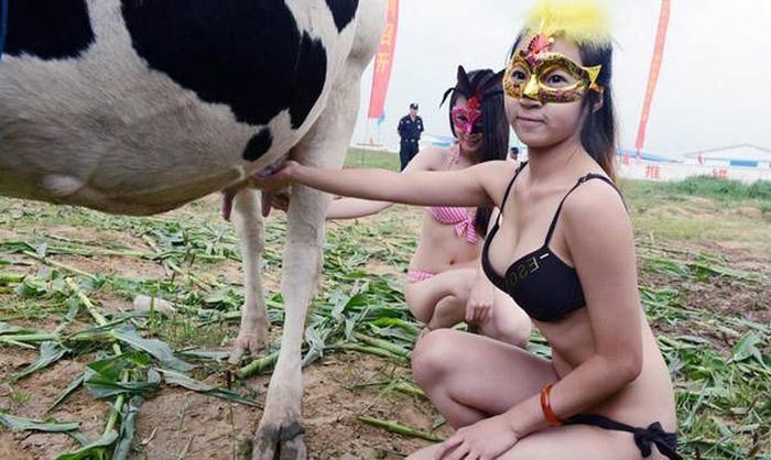 Cow Manure Girl Порно