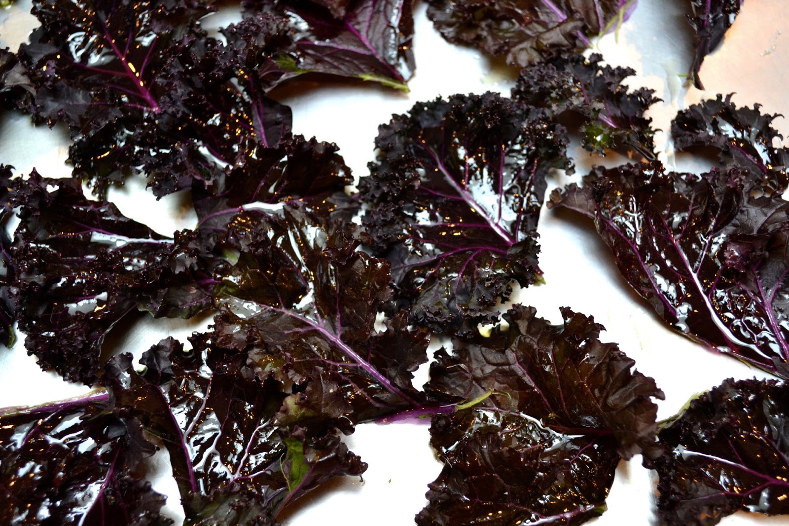 Growing Days Kale Fail.