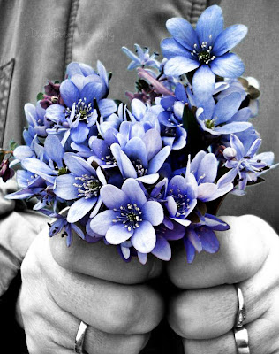 Violets in her hands