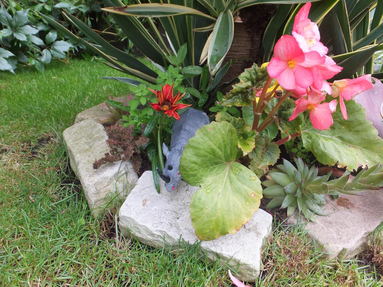 Alternative Eden Exotic Garden A Return to Paul's Garden