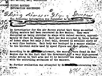 Chimpanzee diet image