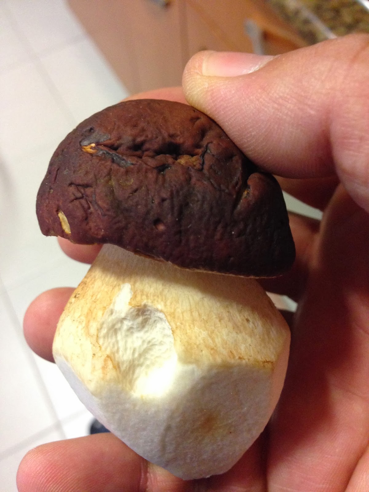 como se cocinan los boletus no solo las monjitas cocinan cosas ricas revoltijo de como se cocinan los boletus no solo las monjitas cocinan cosas ricas revoltijo de