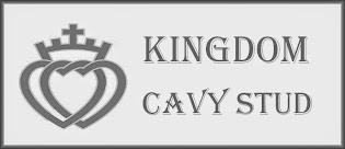 My Cavy Kingdom