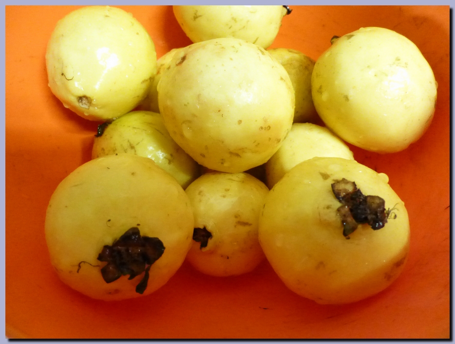 Beer Diary... Fermented Traditional Mexican Ponche