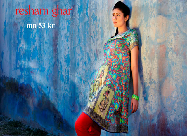 Women's Digital Kurties Collection 2013 By Resham Ghar