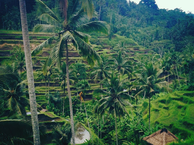 4 Jpg 1600 1067 Art Kaleidoscope Colorful Art