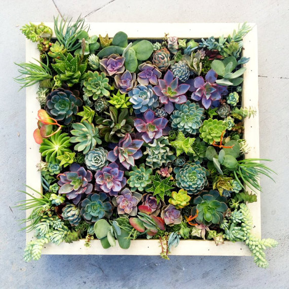the rikrak studio my favourite things vertical succulents wall garden
