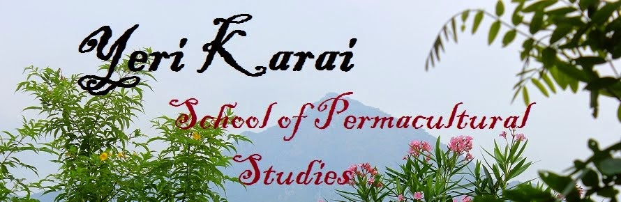 Yeri Karai School of Permacultural Studies