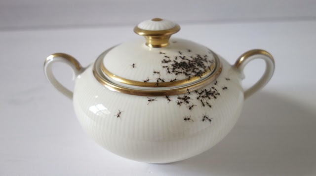 Platos de porcelana de época cubiertos en hordas de hormigas pintadas a mano