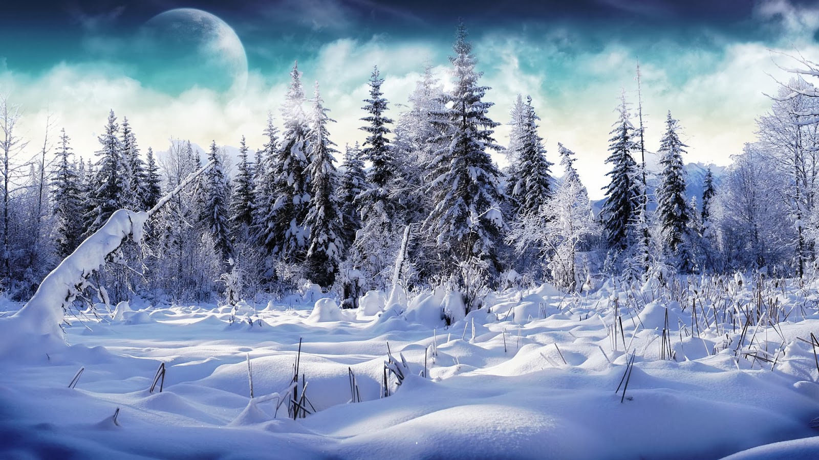 Snow Fall Winter HD Wa...